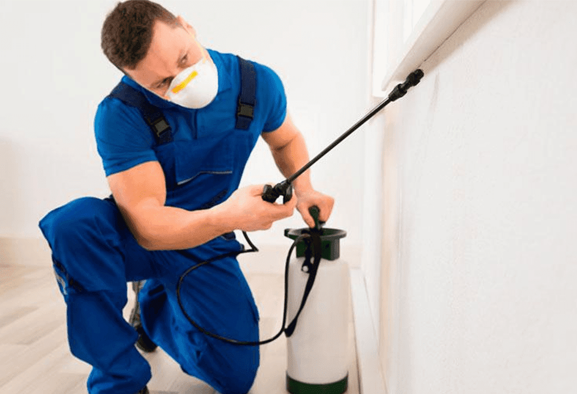 Dedetizadora no Brás